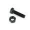 Screw and nut M10 black color 40mm
