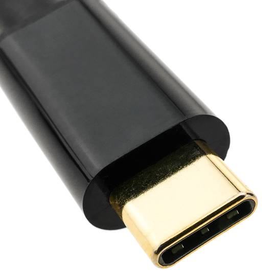 Câble USB 3.1 C mâle vers DisplayPort mâle Convertisseur vidéo 4K Ultra HD 60Hz C20CH 1.8m