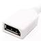MiniDisplayPort-DisplayPort male to female adapter