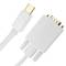 Cable mini DisplayPort mascle a VGA mascle de 2 m