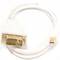 Mini DisplayPort Cable DVI-D male to male 1 m