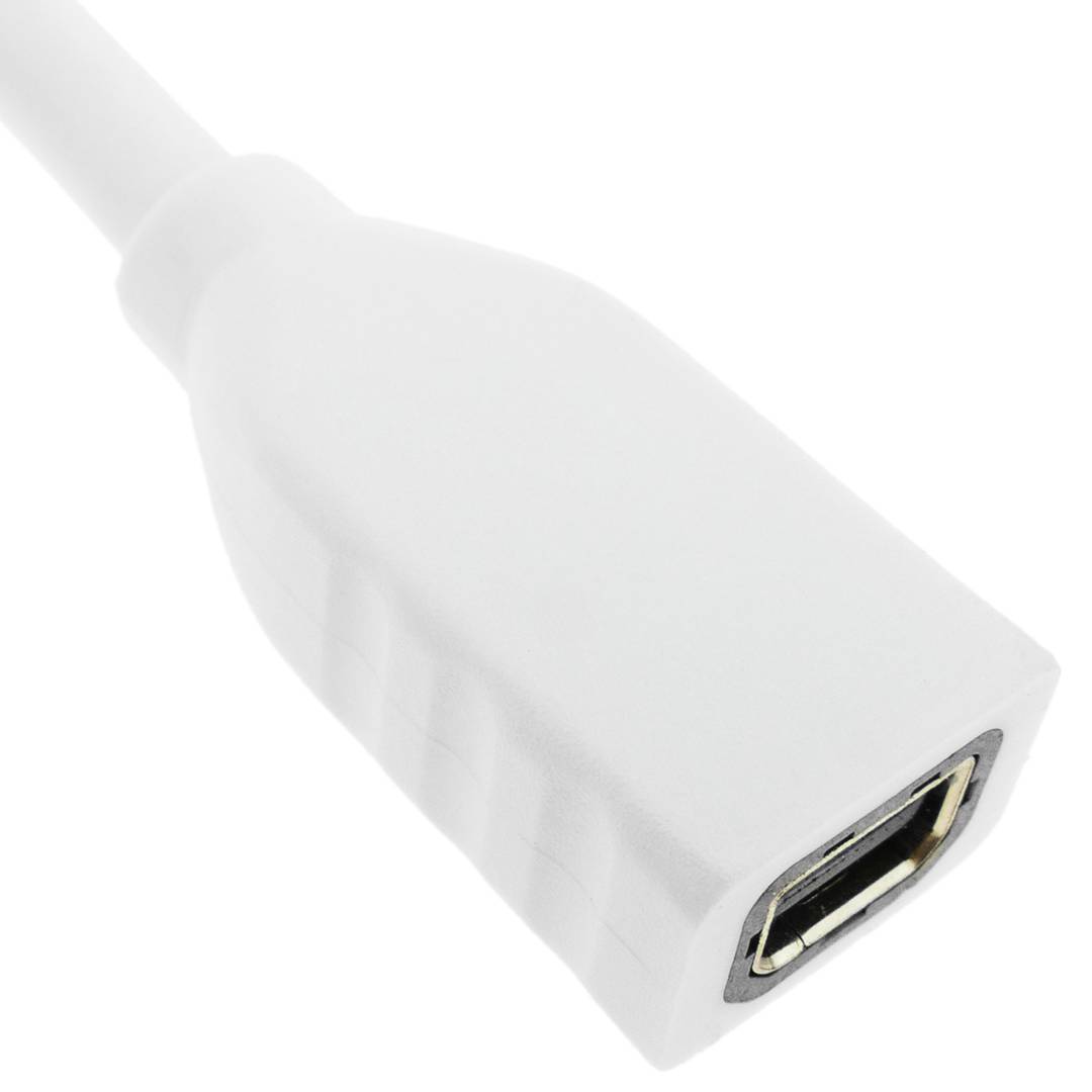 Mini DisplayPort Cable DisplayPort female to male 2 m