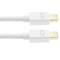 Cavo Mini Displayport 2K 4K 1080p FullHD per audio e video digitale di 2m bianco