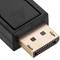 Adaptateur DisplayPort vers DVI-D 10cm active