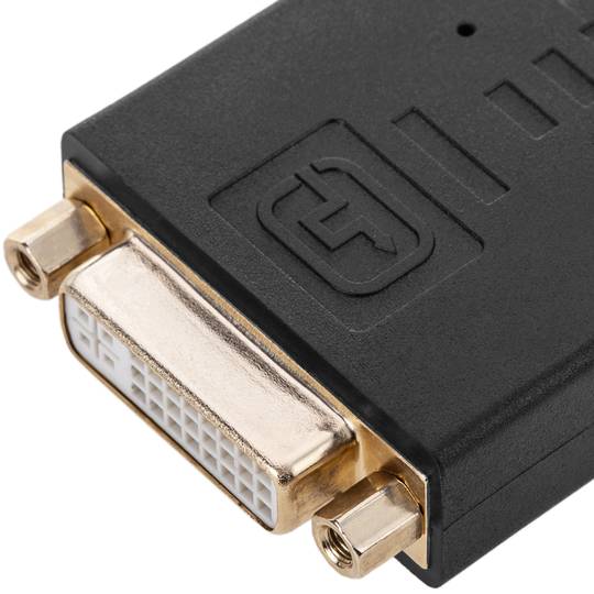 Adaptateur DisplayPort vers DVI-D 10cm active
