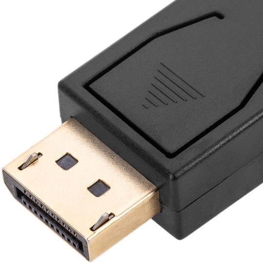 Adaptateur DisplayPort vers DVI-D 10cm active