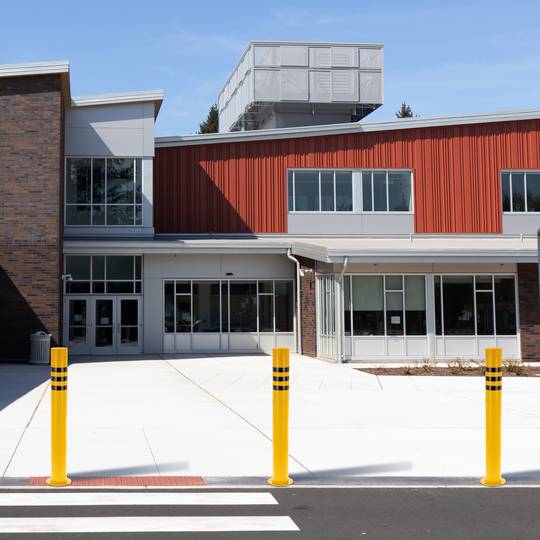 Confezione da 2 pz dissuasori in acciaio con base inchiodata 76x600mm